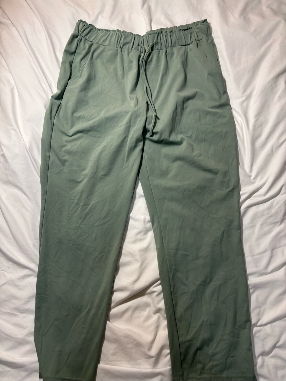 Joie Drawstring Track Pants in Sage